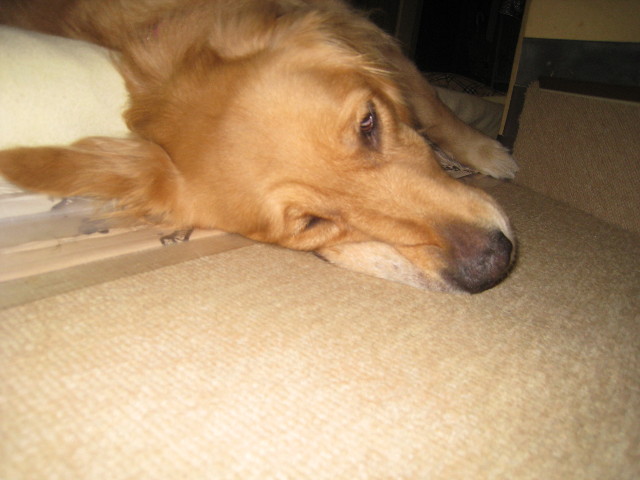 ファイル 917-4.jpg