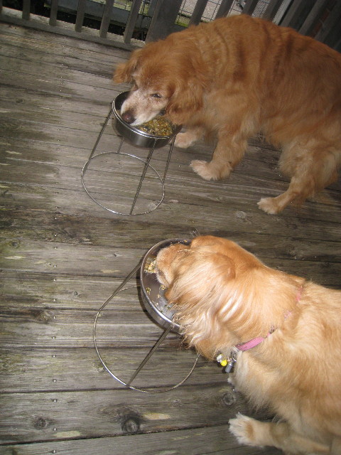 ファイル 917-5.jpg