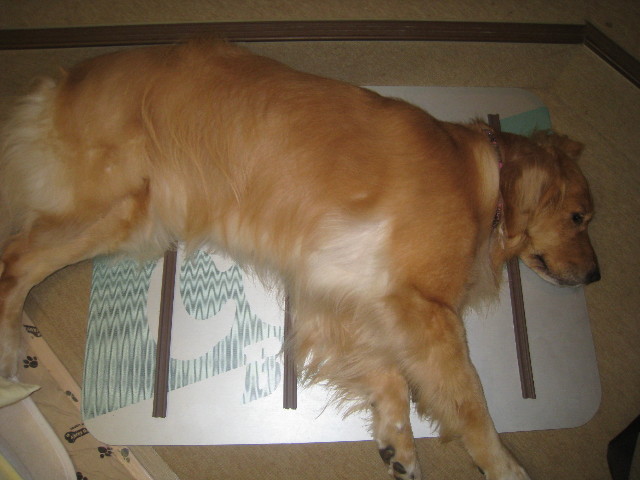 ファイル 918-2.jpg