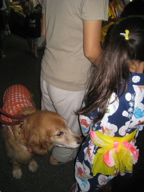 ファイル 918-4.jpg