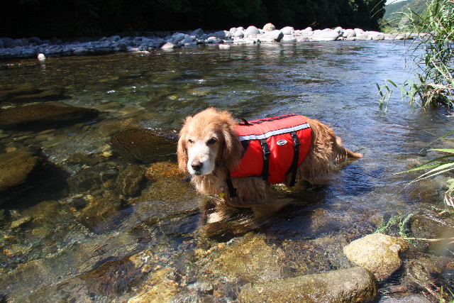 ファイル 921-3.jpg