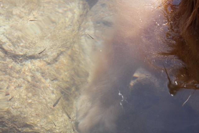 ファイル 922-2.jpg