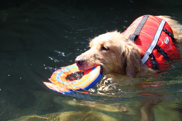 ファイル 922-4.jpg