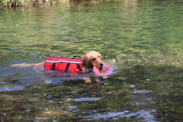 ファイル 924-2.jpg