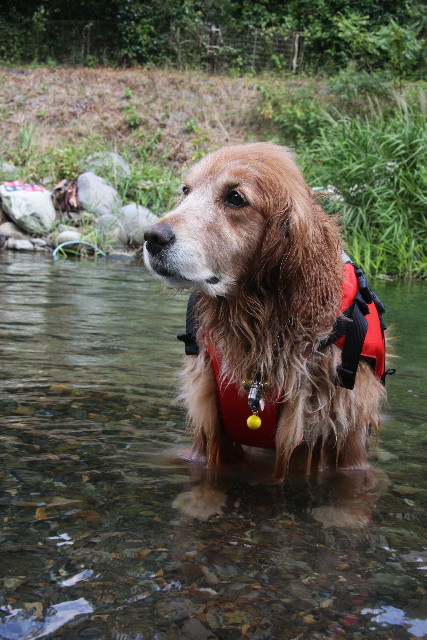 ファイル 924-3.jpg