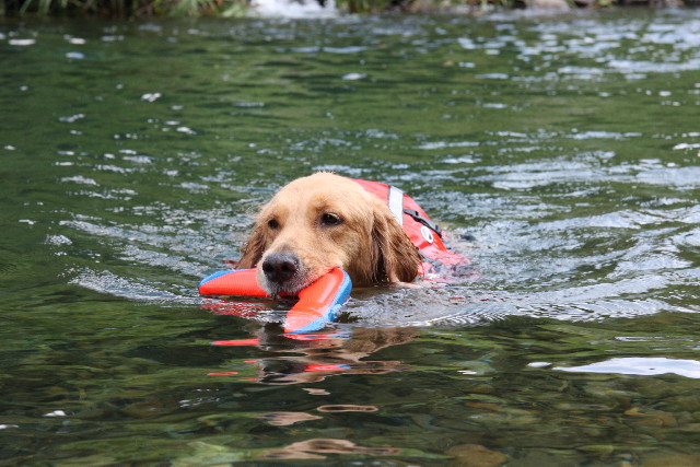 ファイル 925-1.jpg