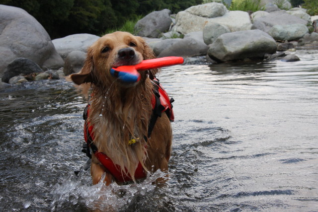 ファイル 925-2.jpg