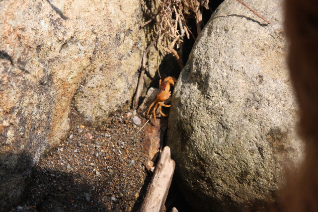 ファイル 925-3.jpg