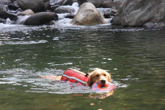 ファイル 925-4.jpg