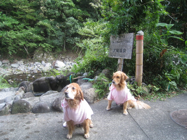 ファイル 926-2.jpg