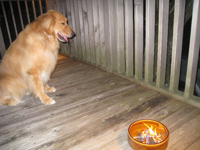 ファイル 927-4.jpg