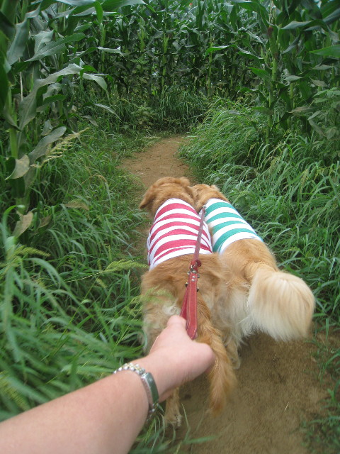 ファイル 928-2.jpg