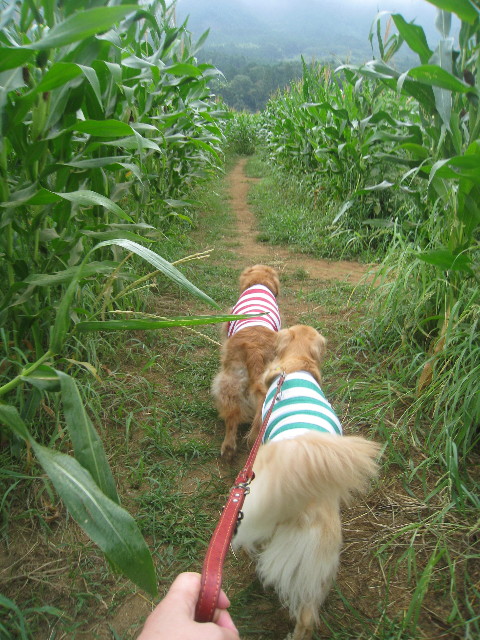 ファイル 928-3.jpg