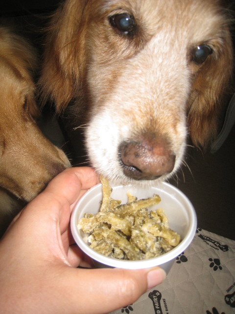 ファイル 929-2.jpg