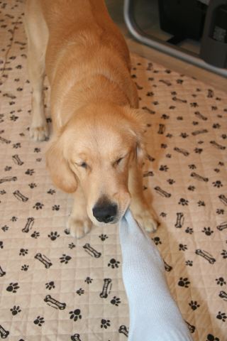 ファイル 93-1.jpg