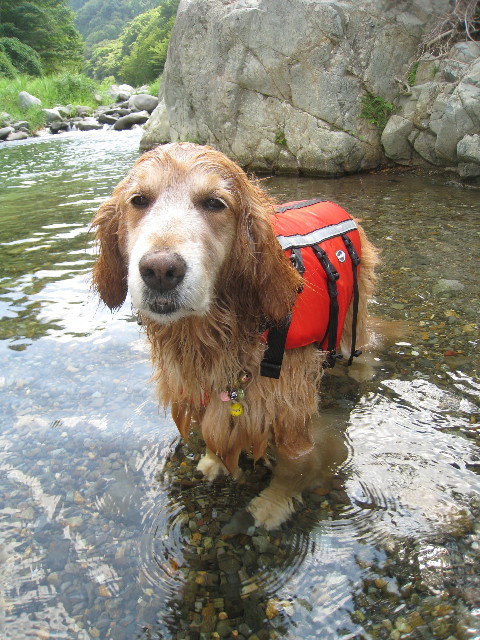 ファイル 930-3.jpg