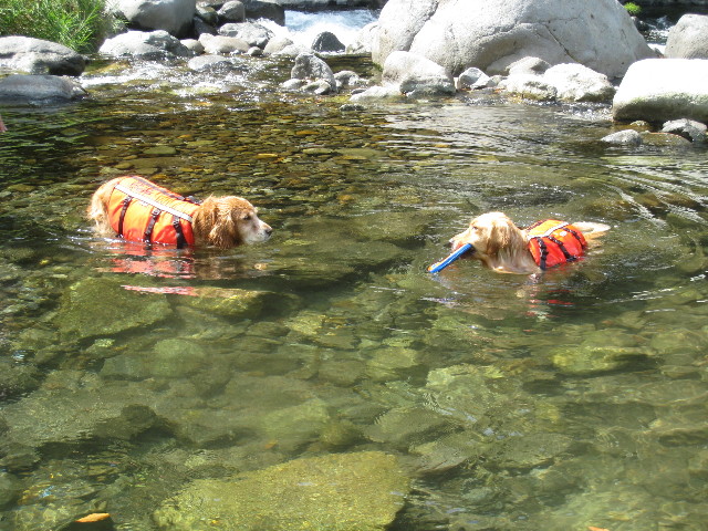 ファイル 930-4.jpg