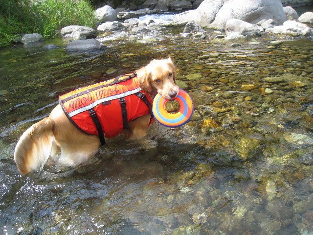 ファイル 930-5.jpg