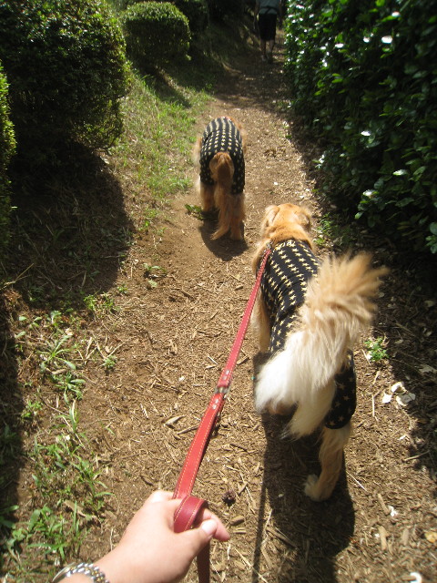 ファイル 931-1.jpg