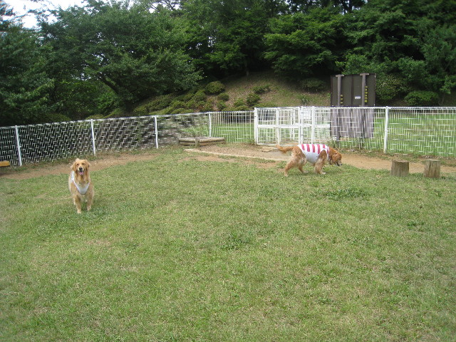 ファイル 931-2.jpg