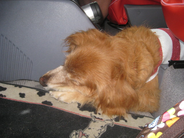 ファイル 931-3.jpg