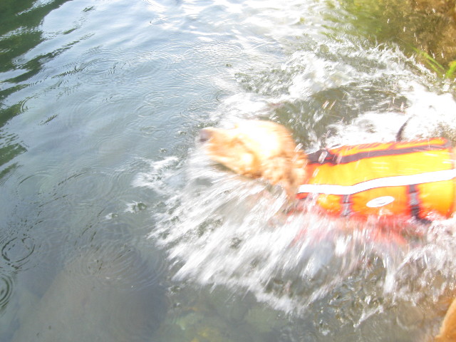 ファイル 931-5.jpg