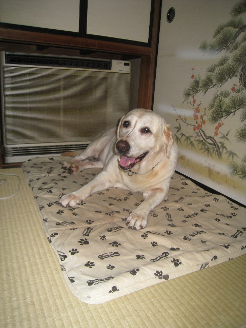 ファイル 932-3.jpg