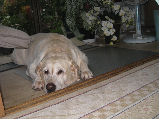 ファイル 932-4.jpg