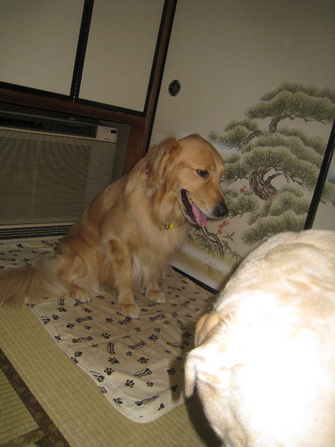 ファイル 932-5.jpg