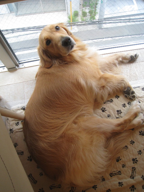 ファイル 933-2.jpg