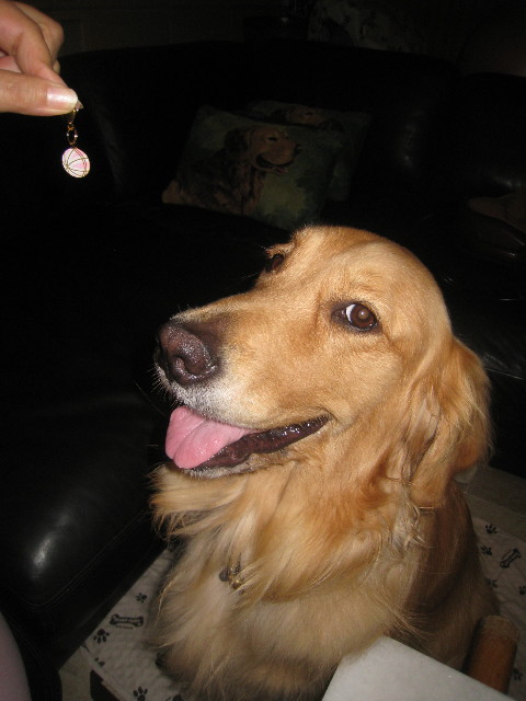 ファイル 933-3.jpg