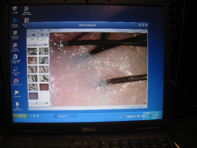 ファイル 933-5.jpg