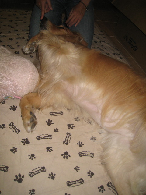 ファイル 934-4.jpg