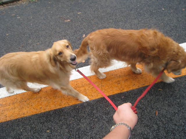 ファイル 935-1.jpg