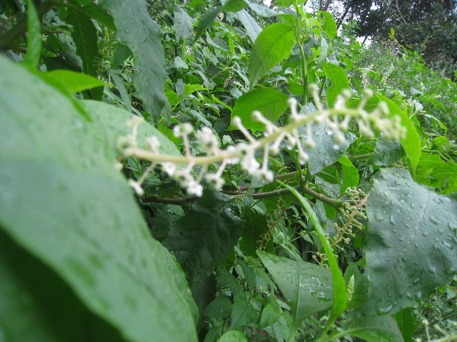 ファイル 935-3.jpg