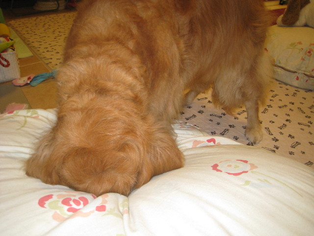 ファイル 936-2.jpg