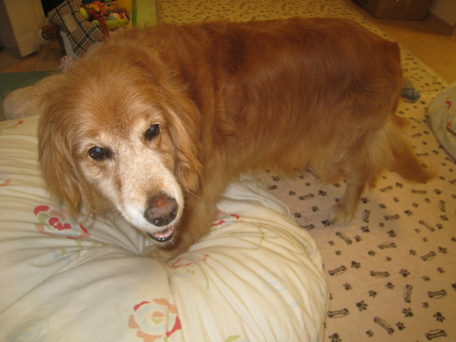 ファイル 936-3.jpg