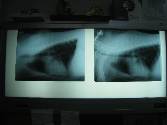 ファイル 937-2.jpg