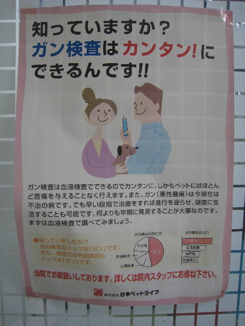 ファイル 937-3.jpg