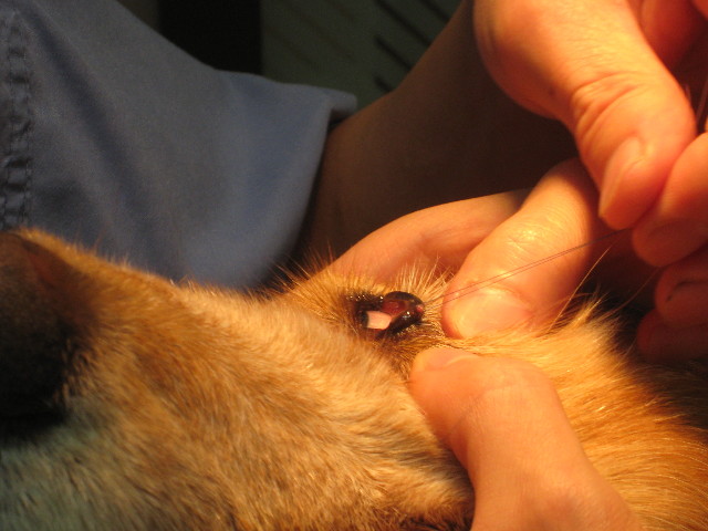 ファイル 937-4.jpg