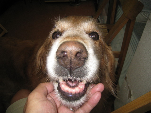 ファイル 938-5.jpg