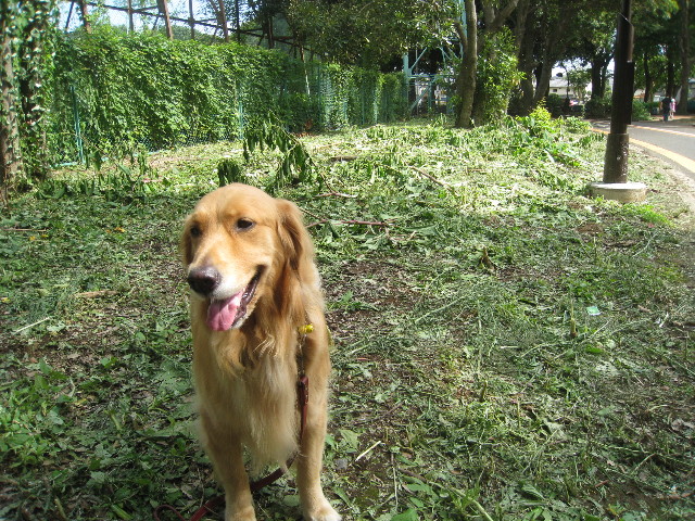 ファイル 939-3.jpg