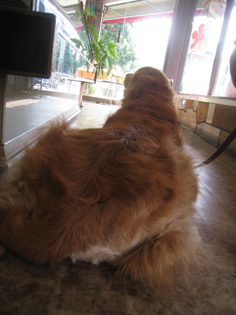 ファイル 939-4.jpg