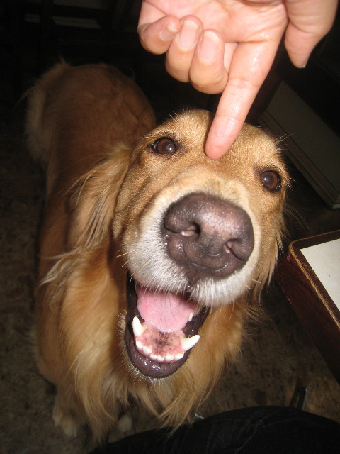 ファイル 939-5.jpg