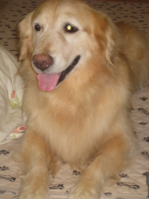 ファイル 940-2.jpg