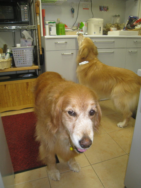 ファイル 940-3.jpg