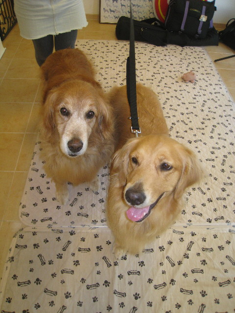 ファイル 941-1.jpg