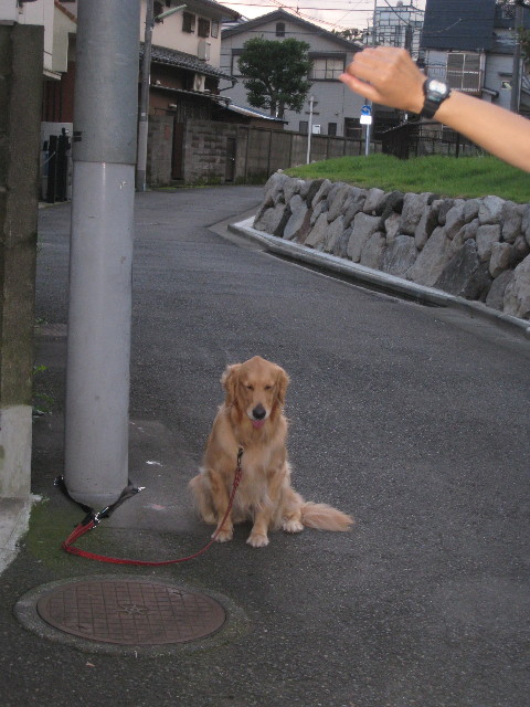 ファイル 941-5.jpg