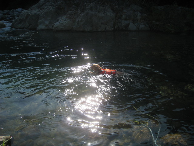 ファイル 949-1.jpg