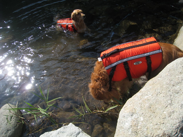 ファイル 949-2.jpg